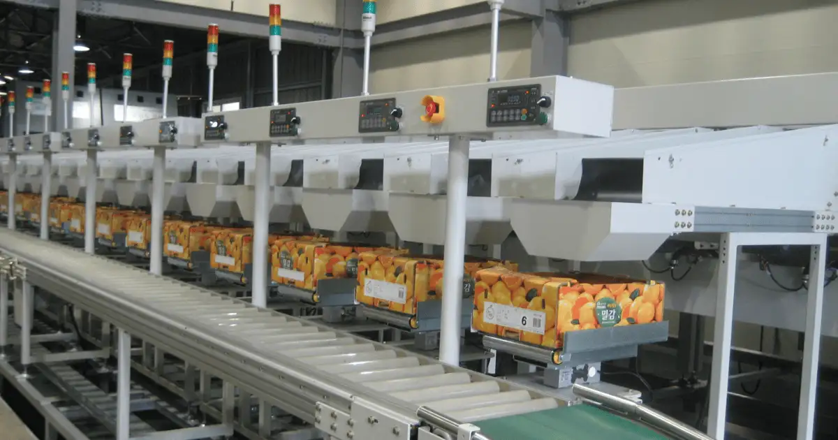 Các thành phần chính của dây chuyền phân loại sản phẩm 3 Dây chuyền phân loại sản phẩm vận hành tốt với đa dạng mặt hàng