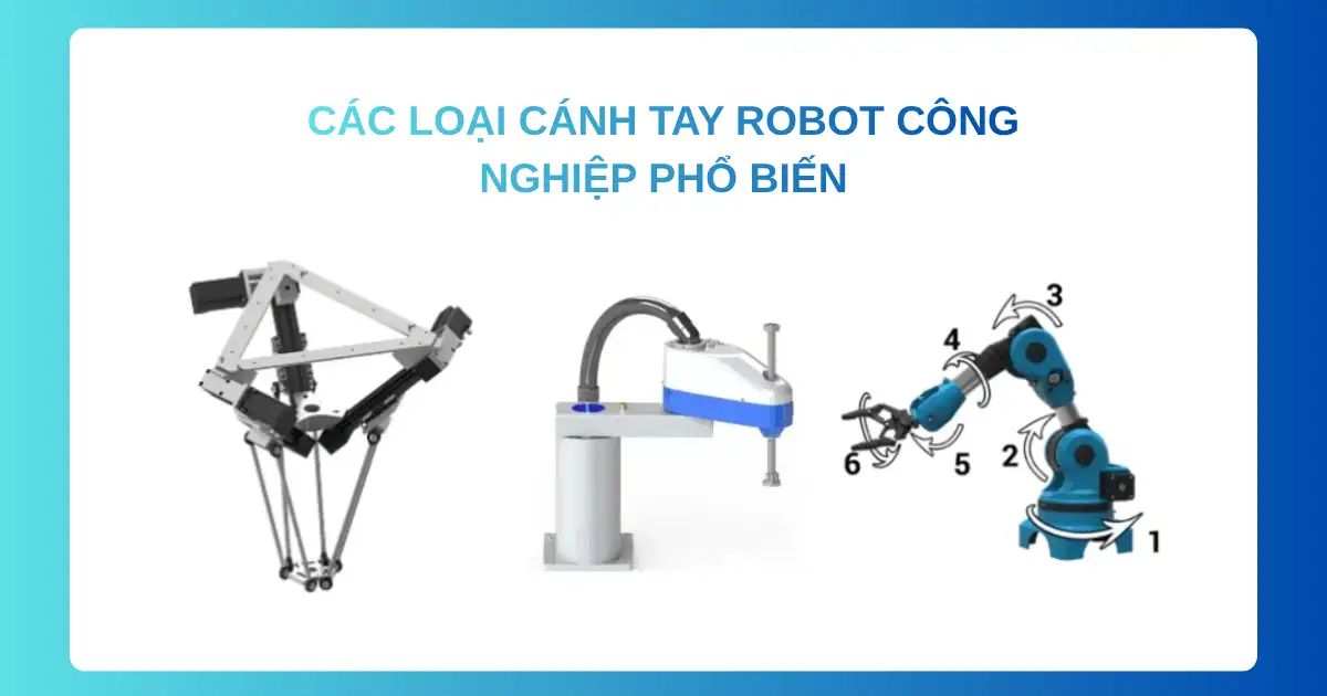 Các loại cánh tay robot phân loại sản phẩm phổ biến