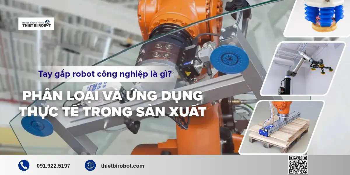Tay gắp robot công nghiệp là gì? Phân loại và ứng dụng thực tế trong sản xuất